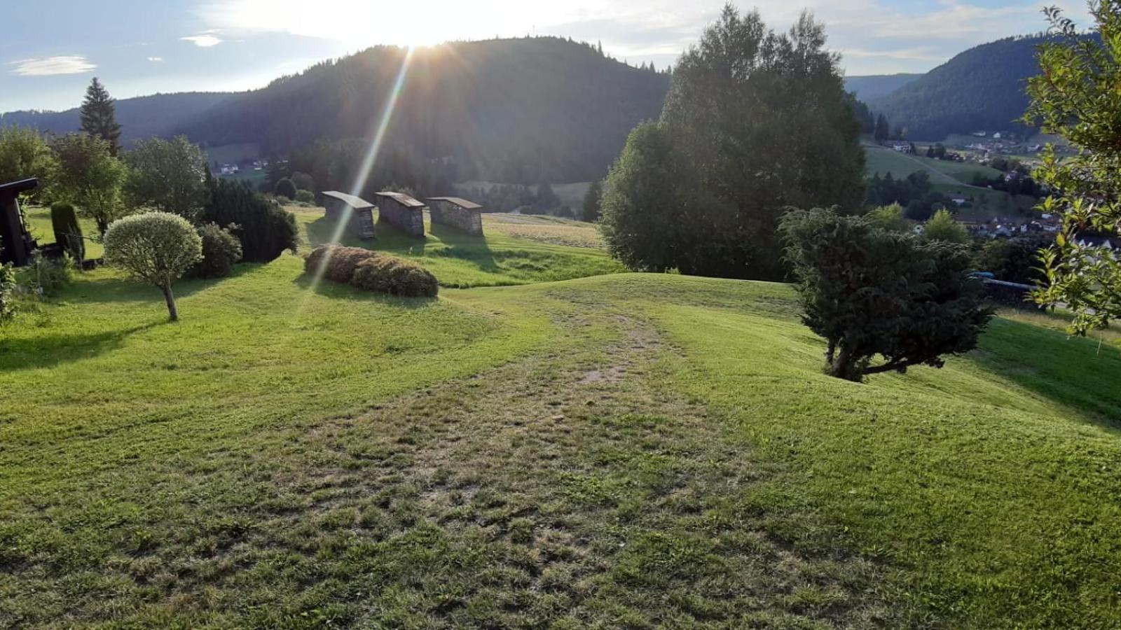 Ferienhaus Seefried Baiersbronn Buitenkant foto