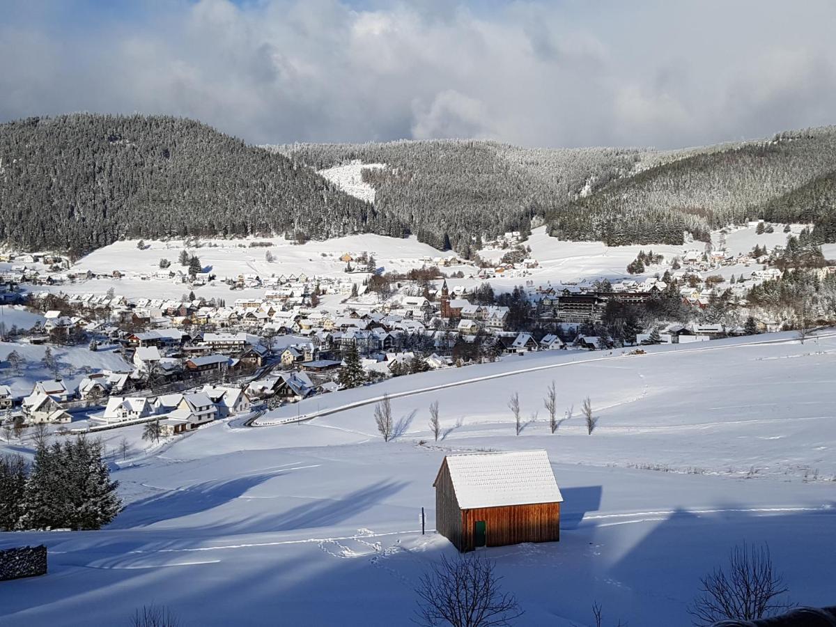 Ferienhaus Seefried Baiersbronn Buitenkant foto
